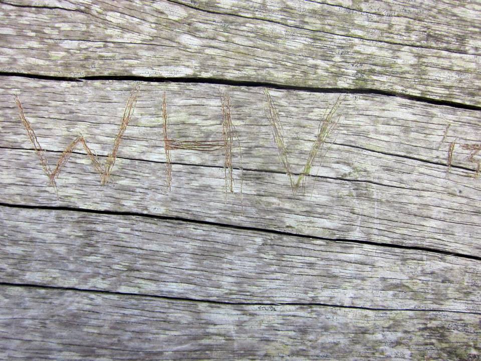 Sint-Martinus den XIIde - Kamp Curfoz 2013